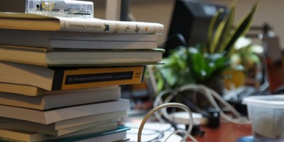 Entrepreneurs in Institutions: Why Intrapreneurs are so Valuable to International Development Entrepreneurship Feature